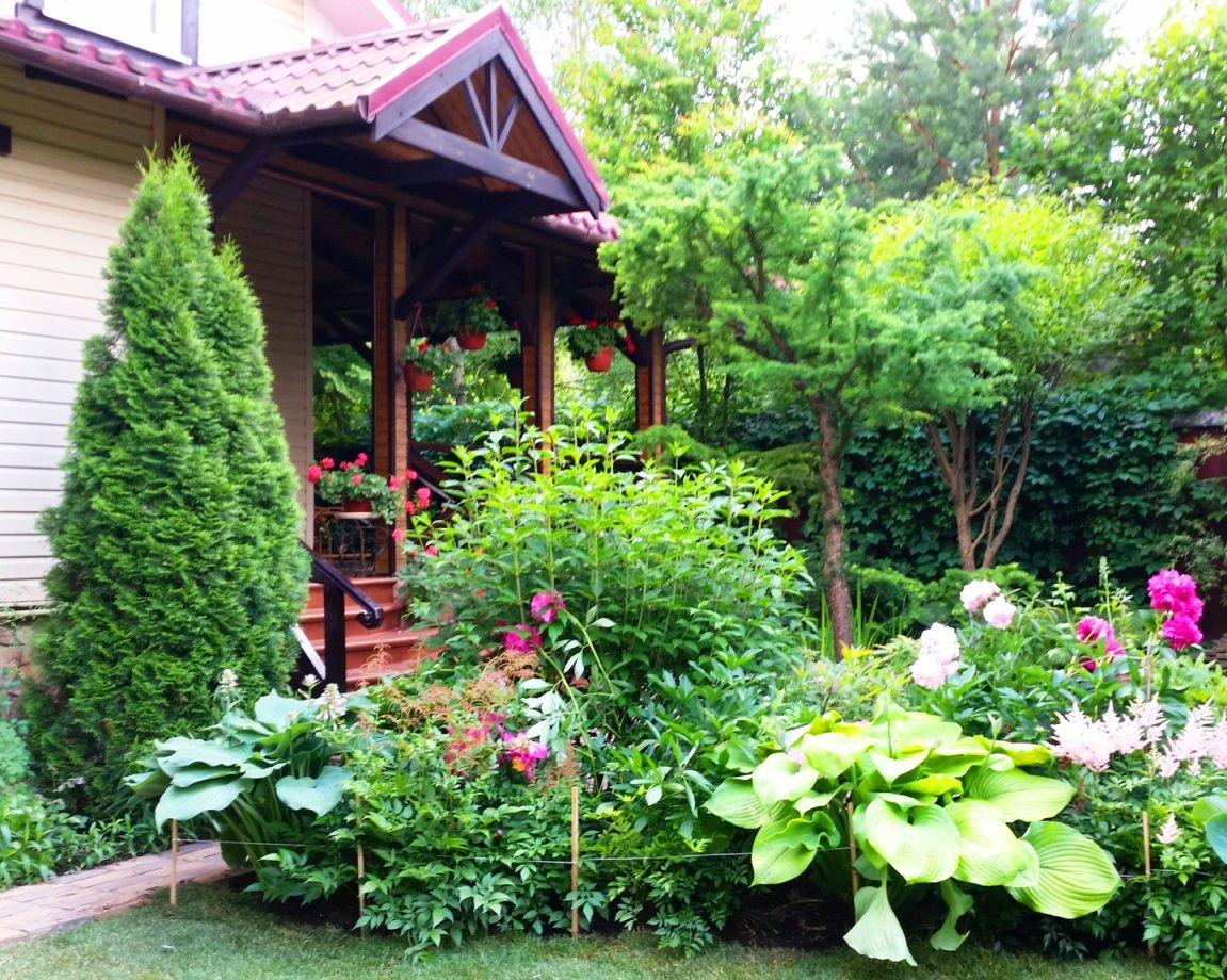 Проект Горки 2